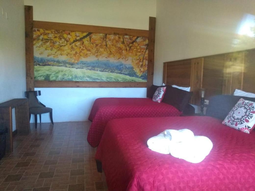 Hotel Hacienda Las Marias Meoqui Esterno foto
